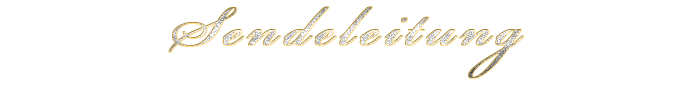 Sendeleitung